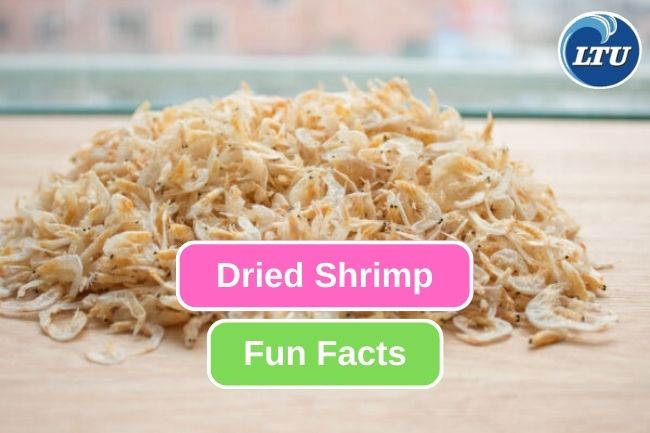 9 Fascinating Facts about Dried Shrimp